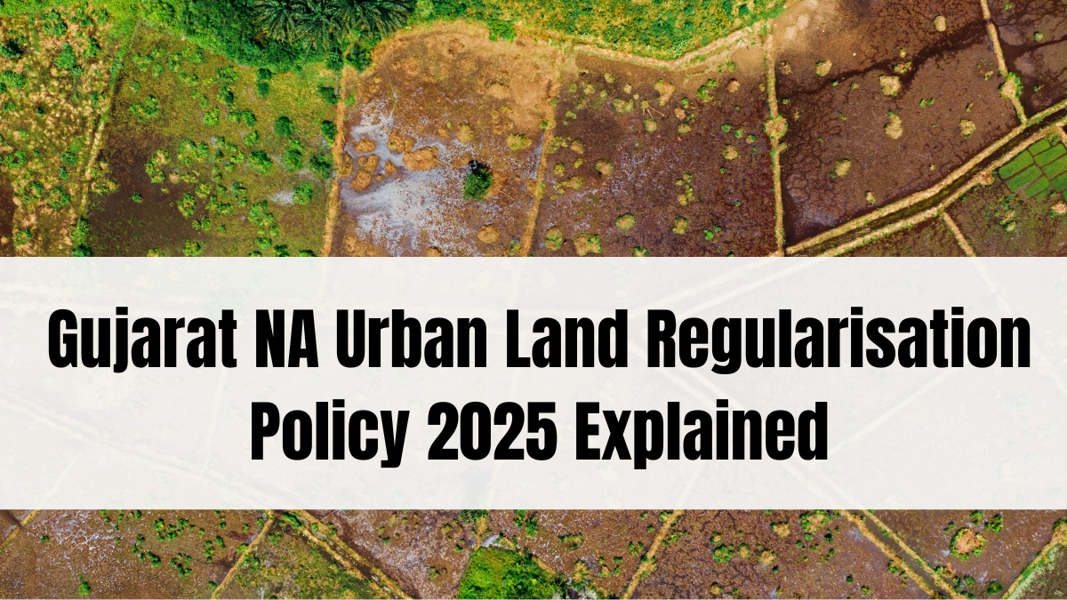 Gujarat NA Urban Land Regularisation Policy 2025 Explained