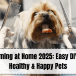 Pet Grooming at Home 2025 – Best DIY Tips for Healthy & Happy Pets