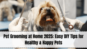Pet Grooming at Home 2025 – Best DIY Tips for Healthy & Happy Pets