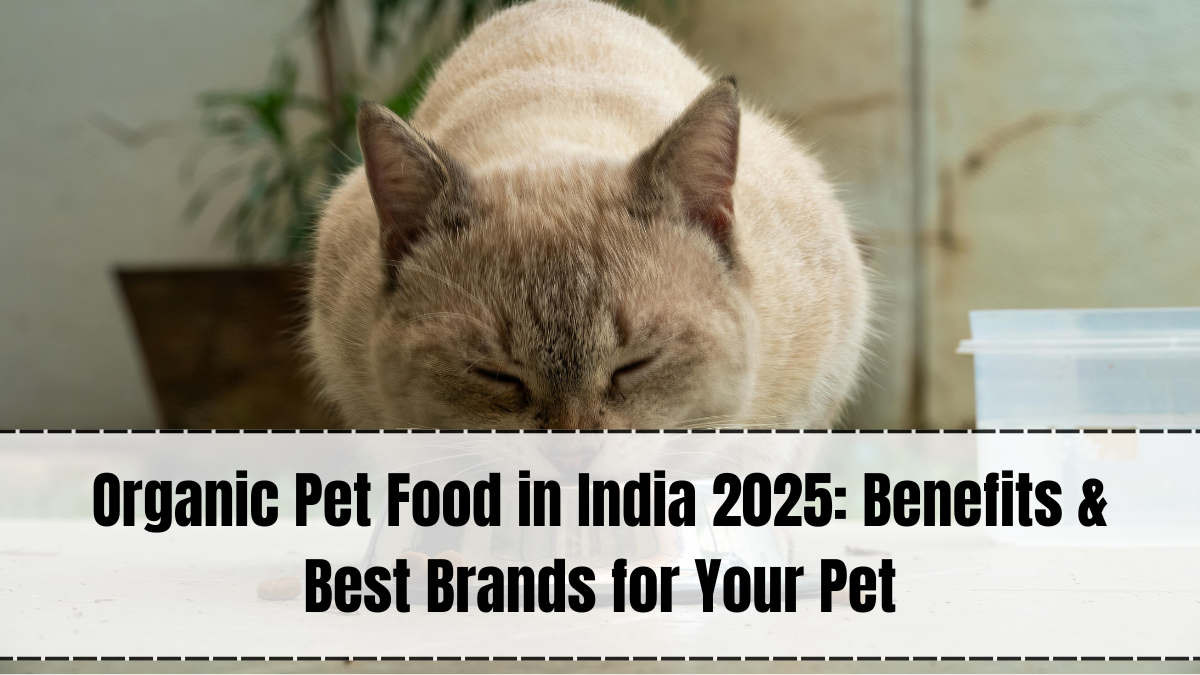 Organic Pet Food India 2025 – Benefits, Best Brands & Buying Guide