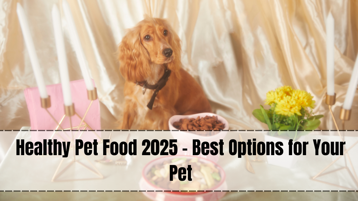 Healthy Pet Food 2025 – Best Nutrition for Dogs, Cats & Small Pets